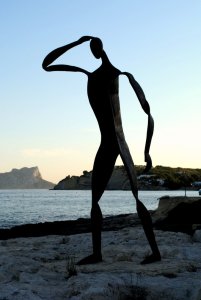 searching, people, family