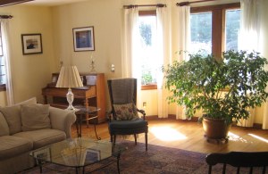 Great Room, Ficus, sunnny room, love