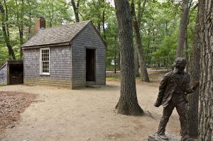Henry David Thoreau, Walden Pond