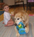 No, we won't let you take this to the dump!