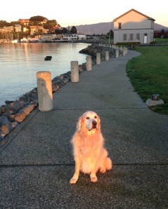 His golden spirit will be part of us - forever.