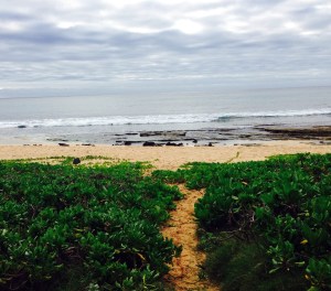 Kauai, Hawaii, walking, vacation