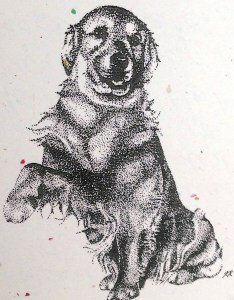 golden retriever, spirit dog