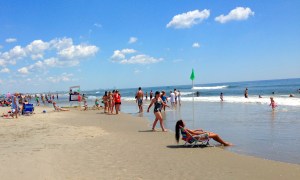 sea, ocean, vacation, creatures