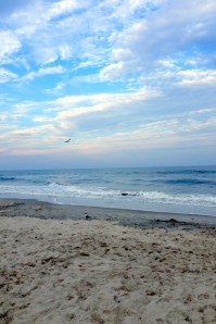 Morning Surf by PS Wight