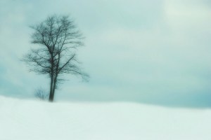 Photo by Susan Licht (http://lichtyears.com/)