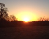 tea, tea latte, early morning, dawn, sunrise