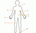 body part, body image