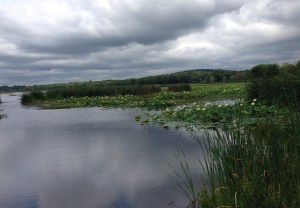 August, Fall, Great Meadows, goodbye to summer