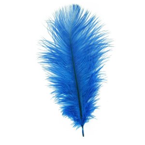 feather, romance
