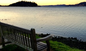reflections, new year's thoughts, San Francisco Bay, Golden Gate Bridge