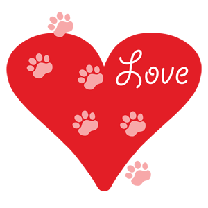 puppy love, rescued dog