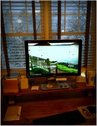 working from home, wintry view