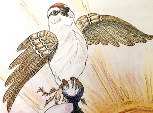children's book, sparrow