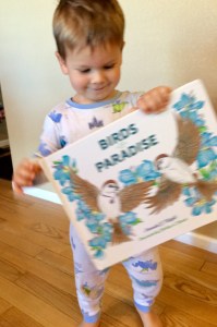 Birds of Paradise, children's illustrated book, young reader