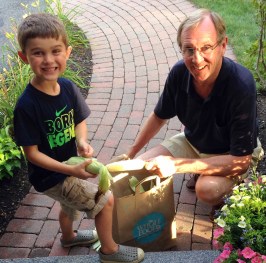 husking corn, summertime, fresh corn