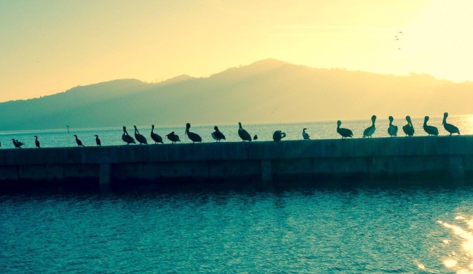 CA weather, NE weather, peligans