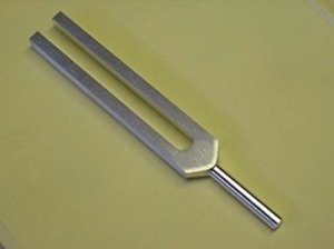 tuning fork, jodi picoult, small great things