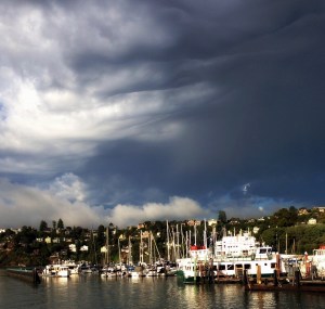 S. F. Bay, harbor, ghost story