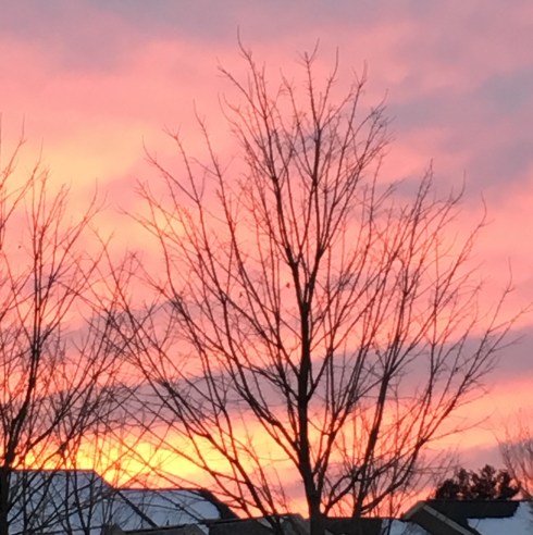 winter colors, photography, winter sunrise