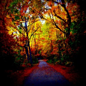 Halloween poem, children's witch, Halloween