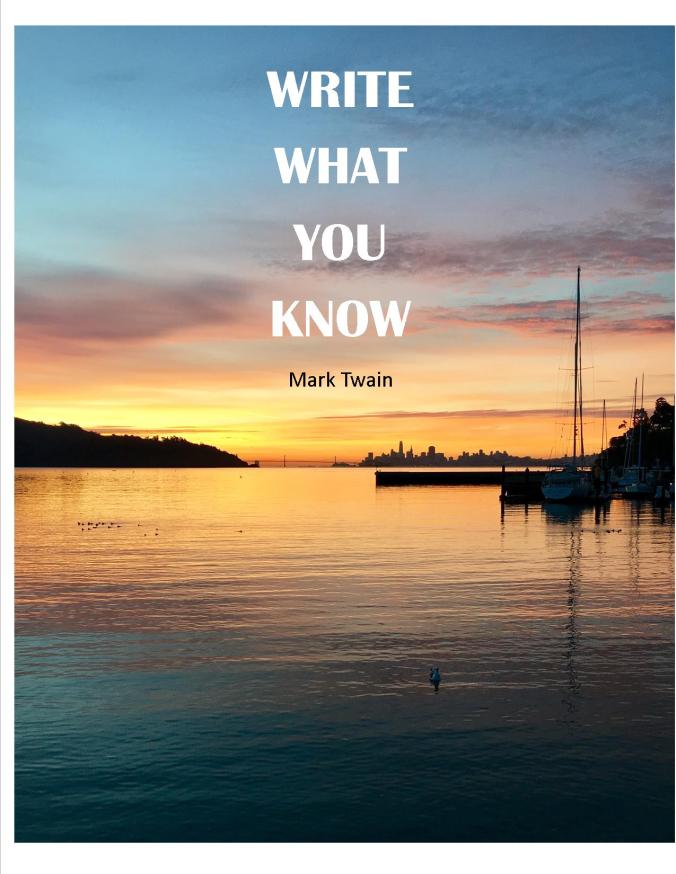 Mark Twain, writing, blogging