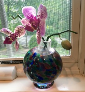 orchid, vase, flowers, blog