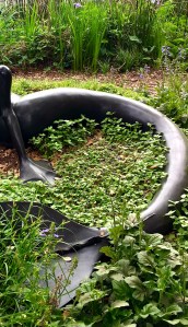 sea monster, magical realism, transformation