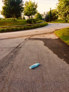 newspaper, newspaper delibery, Wall Street Journal, neighborhood