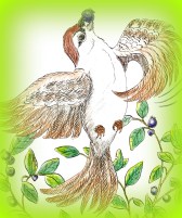 illustration, Birds of Paradise, picture book