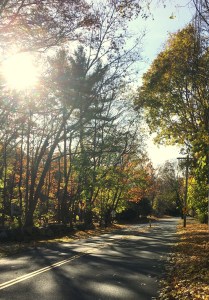 autumn, New England, family, granddaughter