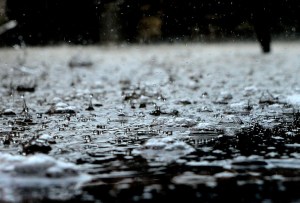 sourabhkrishna806 , https://pixabay.com/photos/drops-rain-rain-drops-water-liquid-2404441/