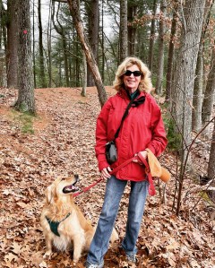 books, book reading, forest bathing, Golden Retriever, walking