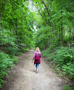 walk, forest bathing, woods