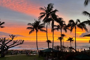 sunset, Kauai, tropical paradise, palm trees