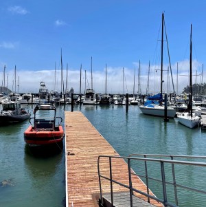 on the dock of the bay, Tiburon CA, Sam's Cafe
