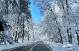 driving in the snow, snow, snow day