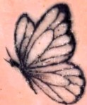 butterfly tatto