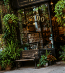 tattoo parlor, New England tattoo studio, tattoo for grandmother and granddaughter
